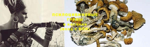 мескалин Арсеньев