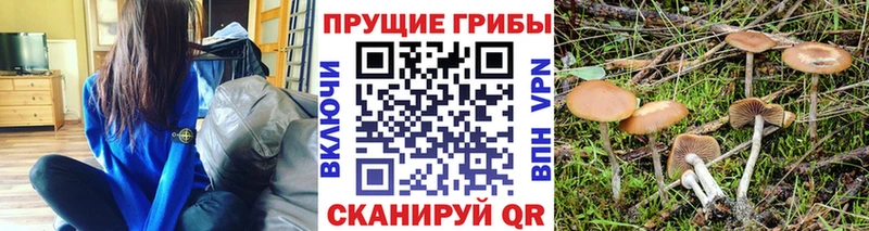 Псилоцибиновые грибы мухоморы  Мирный 